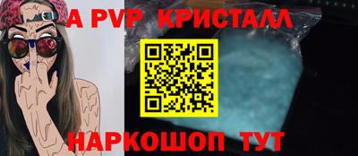 гашик Будённовск