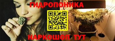 гашик Будённовск