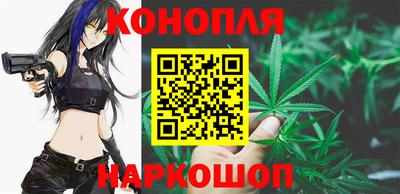 гашик Будённовск