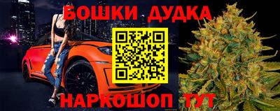 гашик Будённовск