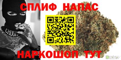 гашик Будённовск