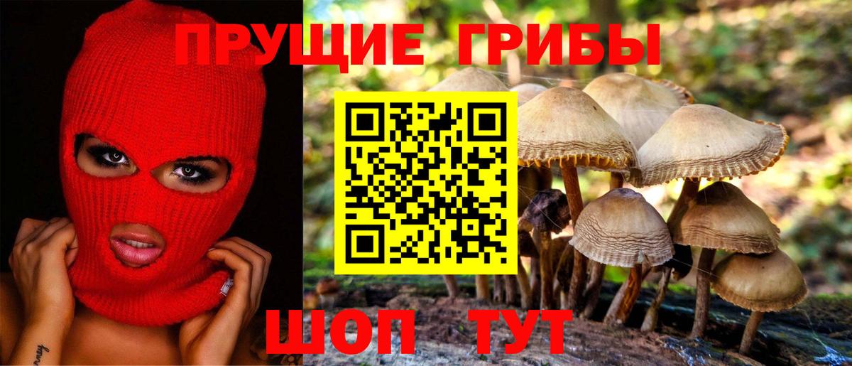 Псилоцибиновые грибы MAGIC MUSHROOMS  Вход с VPN  сколько стоит  Сибай 